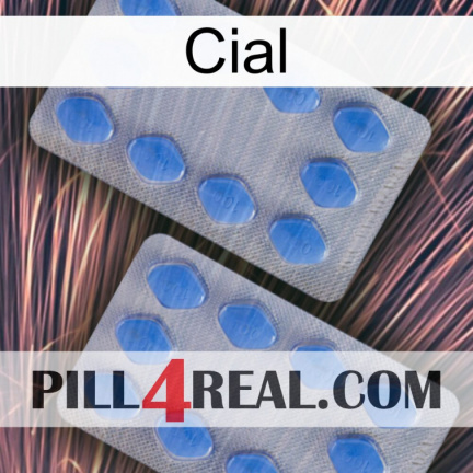 Cial 20